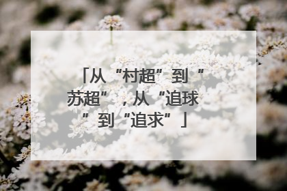 从“村超”到“苏超”，从“追球”到“追求”